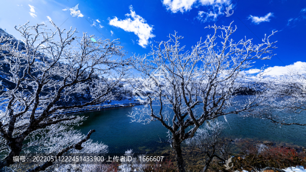 木格措風(fēng)光