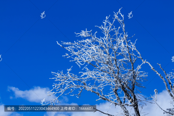 木格措風(fēng)光