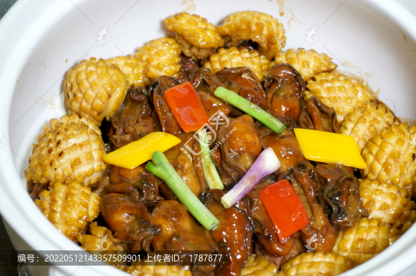 金蠔掌翼炆大連鮑