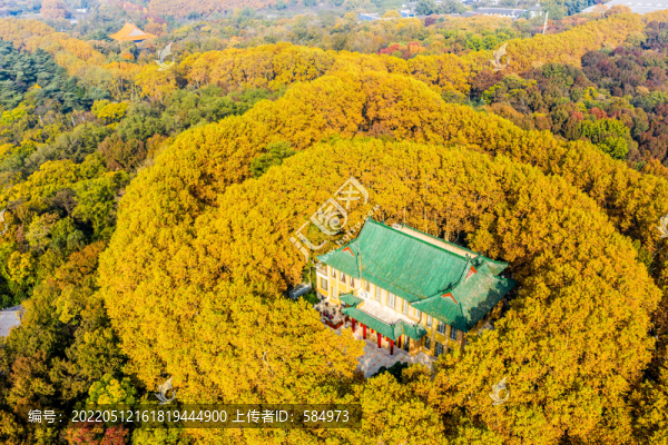 航拍南京鐘山風(fēng)景名勝區(qū)美齡宮