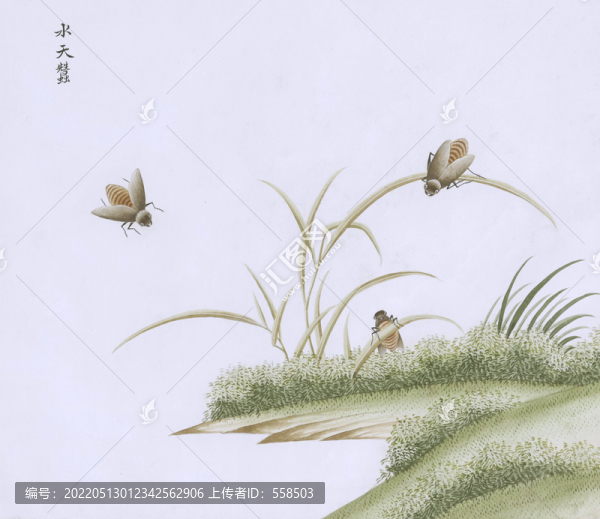 水天蟲蟲草國畫小品