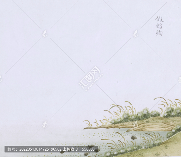 假浮游蟲草國畫小品