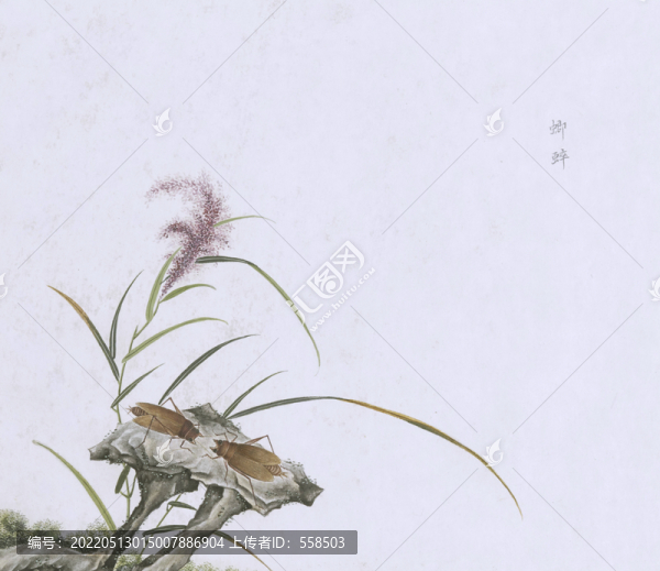蟋蟀蟲草國畫小品