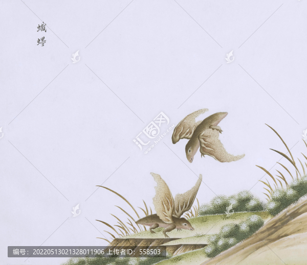 蝙蝠蟲草國(guó)畫小品