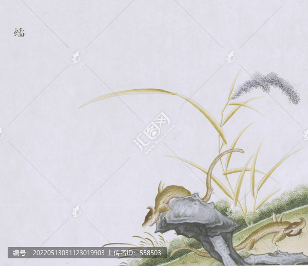 螭蟲蟲草國畫小品