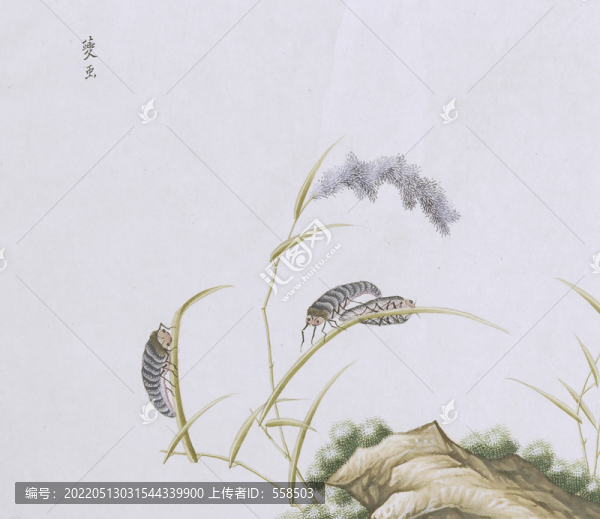 夔蟲(chóng)蟲(chóng)草國(guó)畫(huà)小品