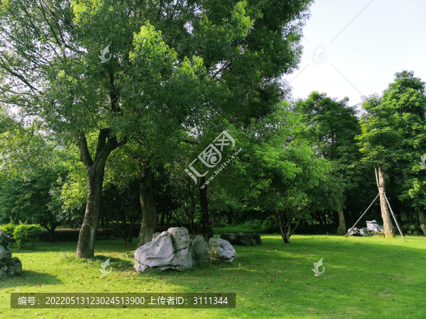 公園美景