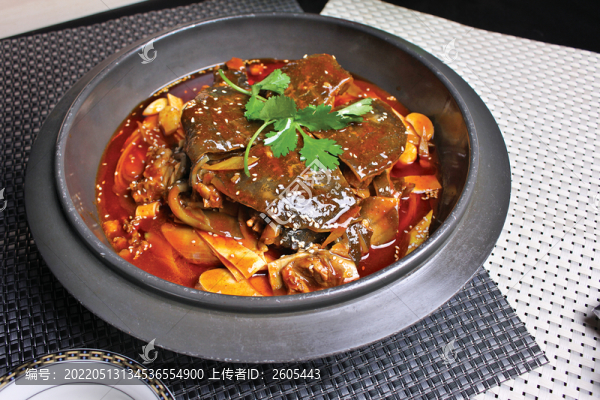 荊沙甲魚(yú)