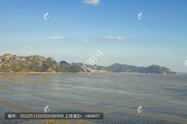 海洋海島