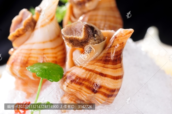 冰鎮(zhèn)凍海螺