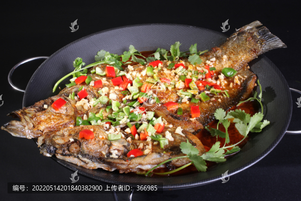 平鍋大翹魚(yú)