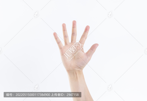 一只手的各種手勢
