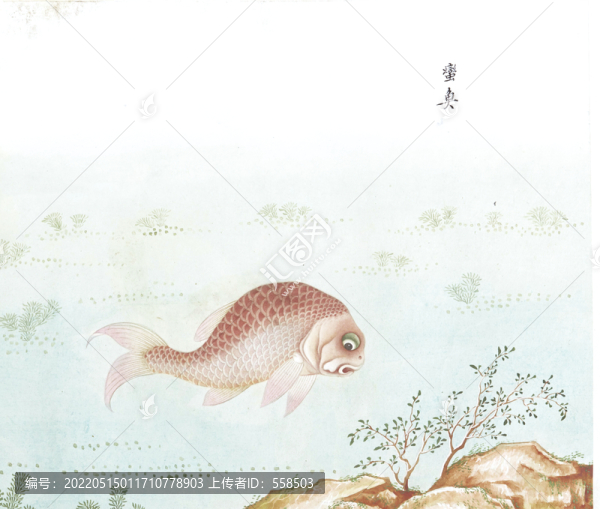 紅魚國畫魚海洋生物手繪