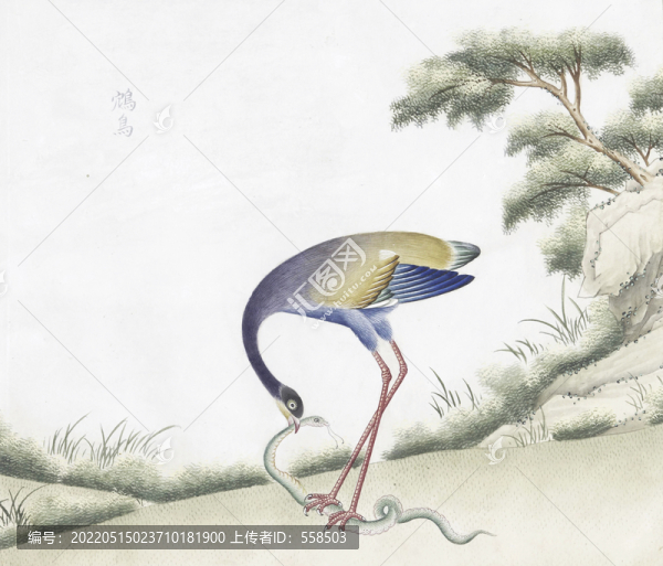 鴥鳥花鳥國(guó)畫素材插畫