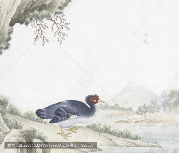 番鴨花鳥國(guó)畫素材插畫