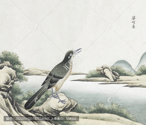 婆呵雀花鳥國(guó)畫素材插畫