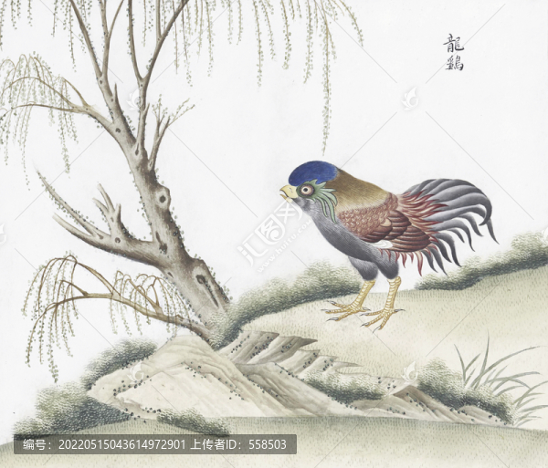 龍雞花鳥國畫素材插畫