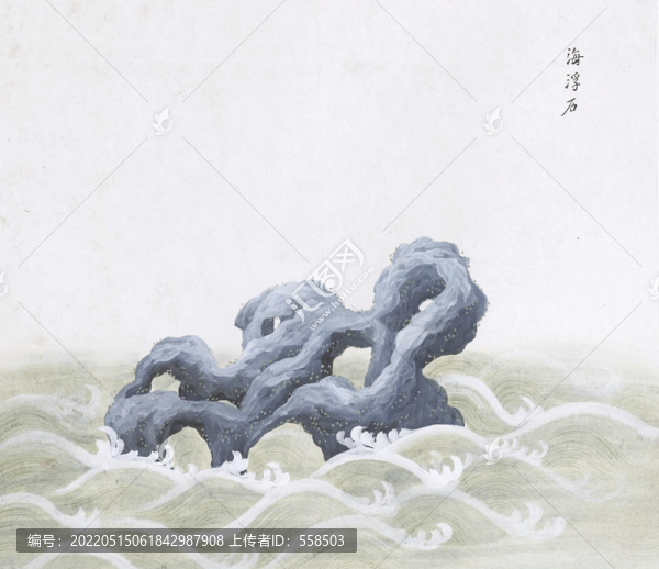 海浮石中草藥國(guó)畫礦石插畫