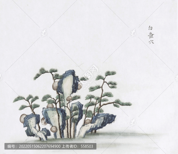 白螽穴中草藥國畫素材插畫