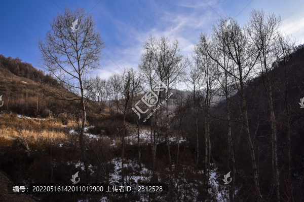 山林