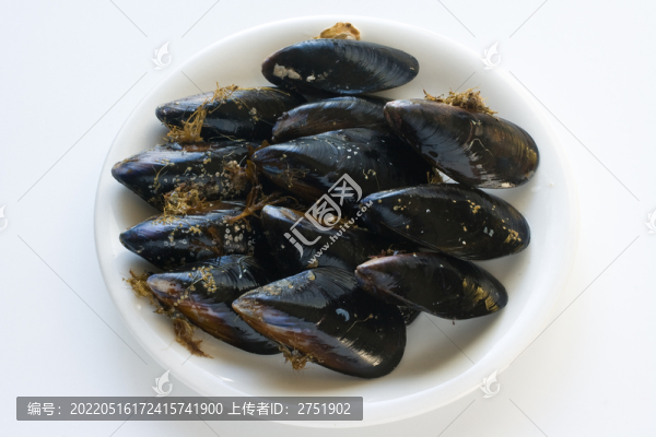 青口貝翡翠貽貝