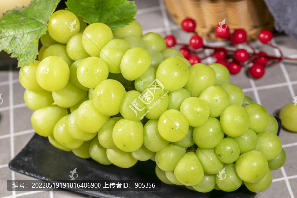 陽光玫瑰