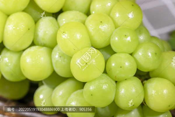 陽光玫瑰