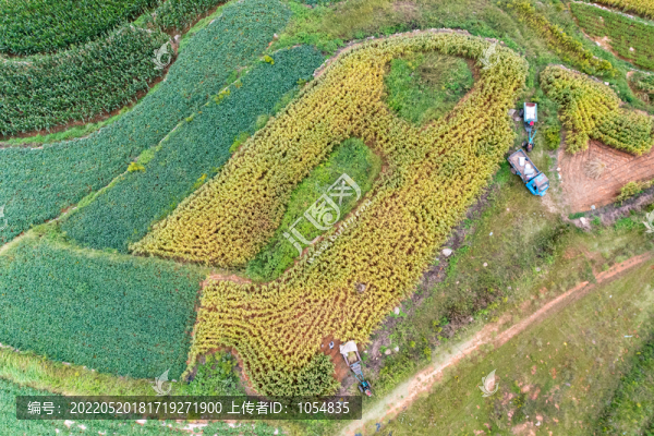 沂蒙梯田
