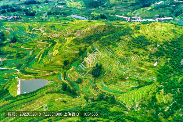 山東日照莒縣梯田