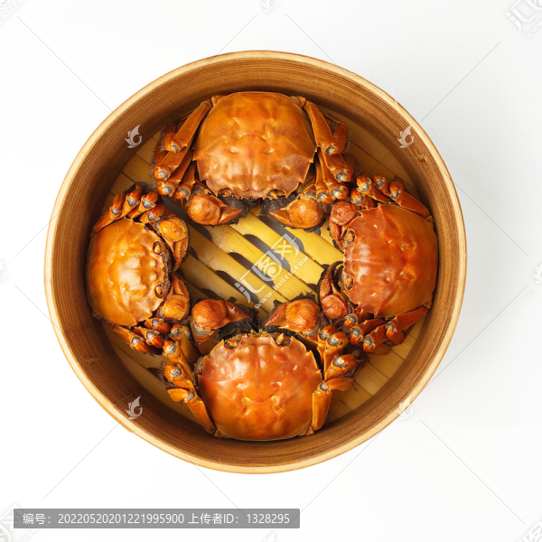 螃蟹俯拍圖