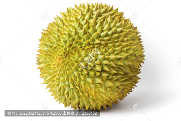 榴蓮