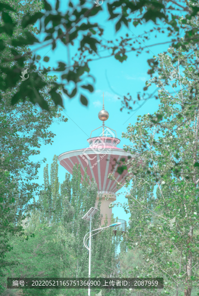 夏日的公園