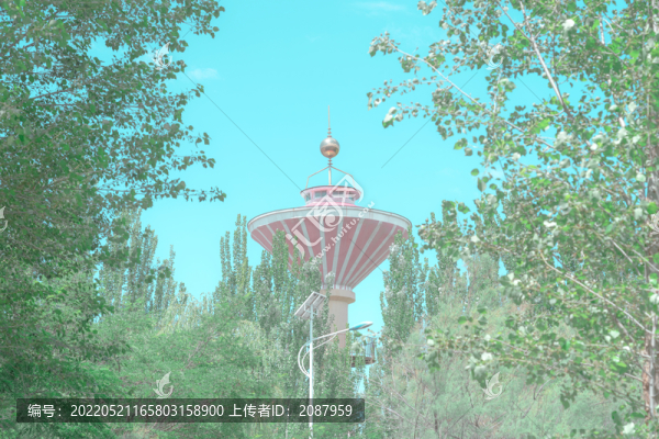 夏日的公園