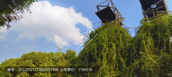 森林公園綠化