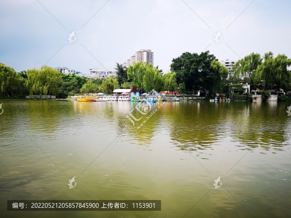 公園水景