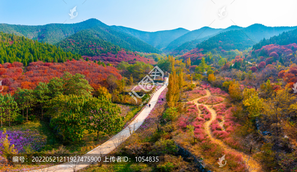 官護(hù)山