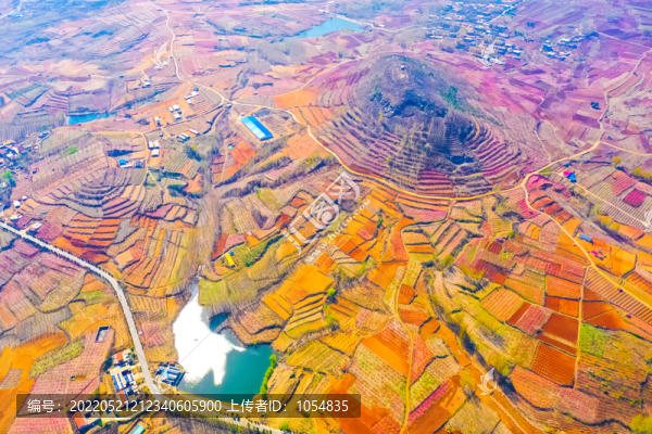 蒙山桃花