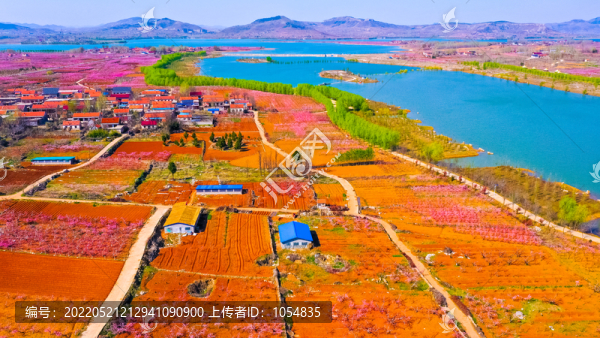春天桃花