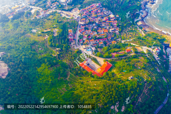 嶗山茶園