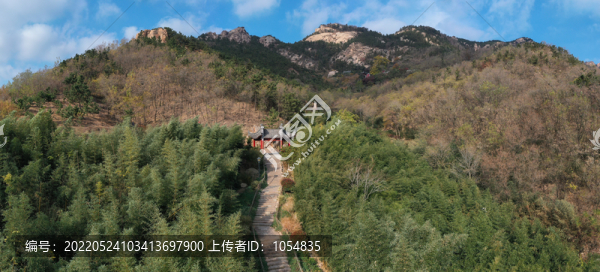 竹子庵