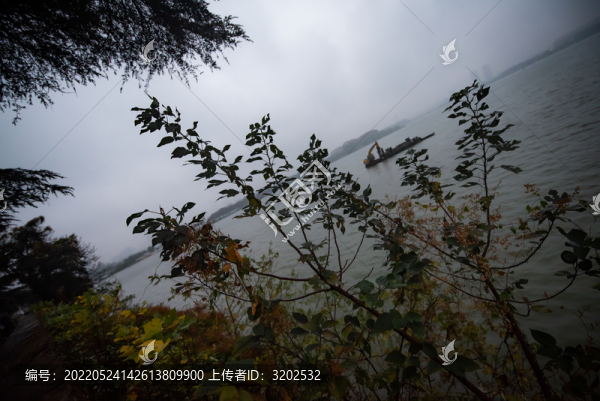 陰雨天的南京玄武湖