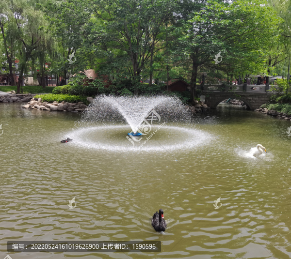 大唐芙蓉園風(fēng)景