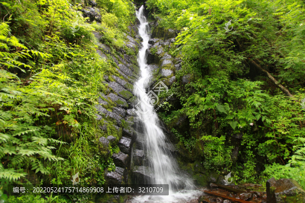 溪流山泉