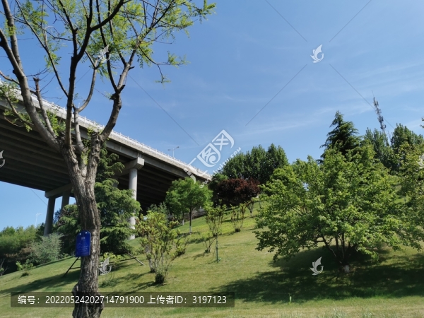 綠地