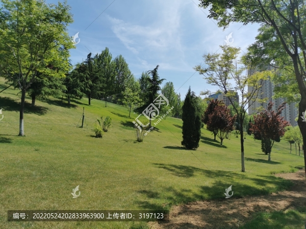 公園