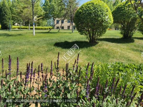 公園