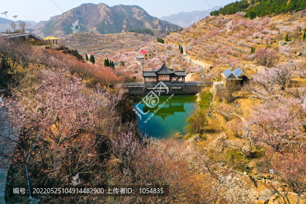 大嶗櫻桃谷