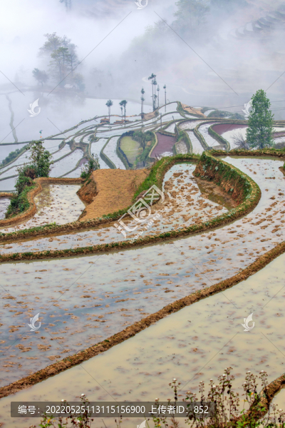 元陽(yáng)梯田