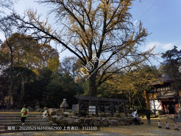 靈谷寺