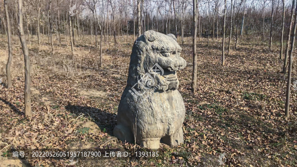 北宋皇陵明德李皇后陵守陵石獅